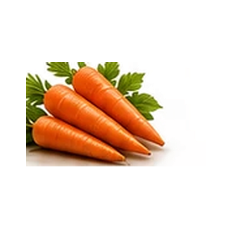 แครอท CARROT