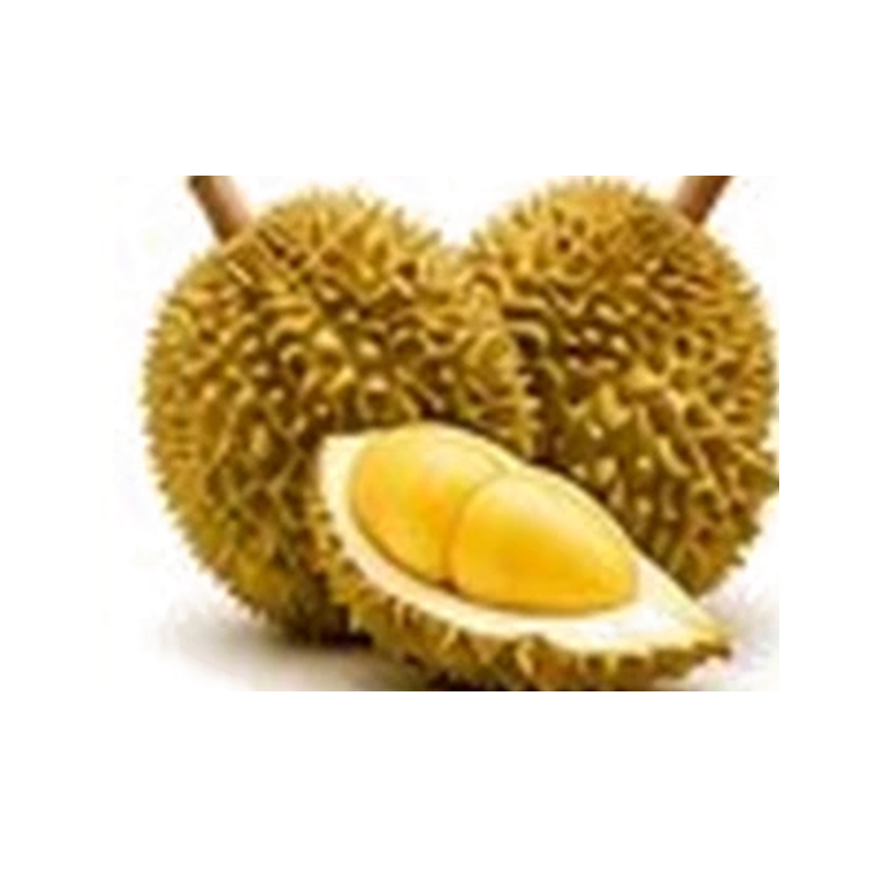 ทุเรียน DURIAN