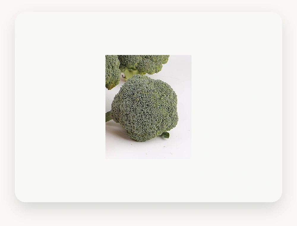 บรอกโคลี BROCCOLI
