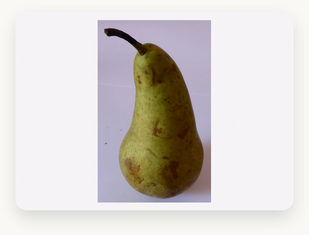 สาลี่ PEAR