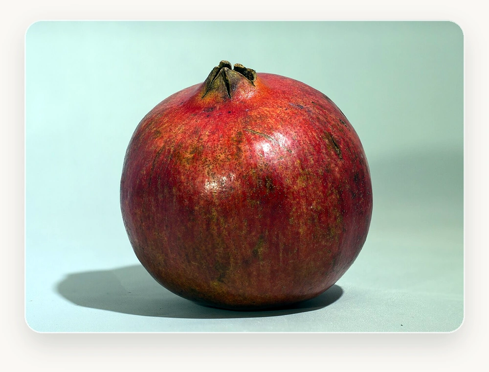 ทับทิม POMEGRANATE